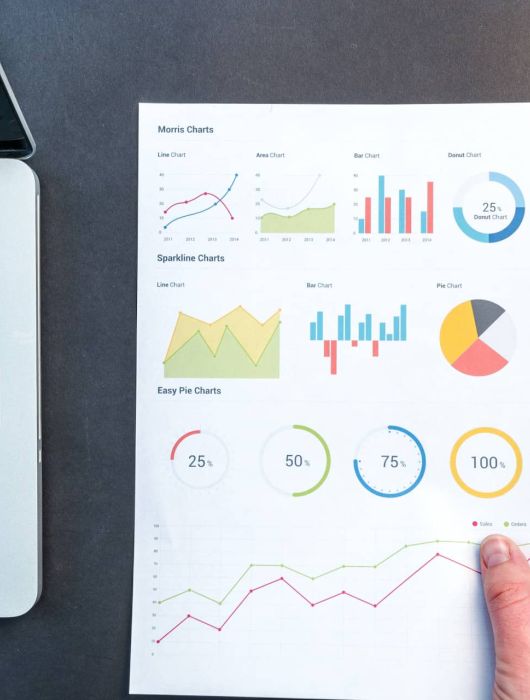 Google Analytics + Matomo