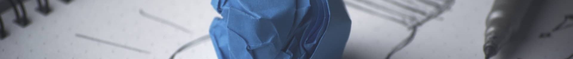 Internet Project Plan (IPP)